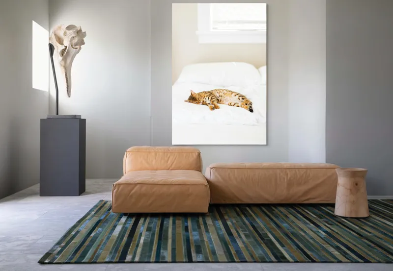 Tablou Canvas, "Pisica bengaleză dormitând pe pat alb", Relaxare, Pisică, Pat, Confort, Odihnă, Lumină, Somn, Leneveală, 100 x 150 cm – poza 7