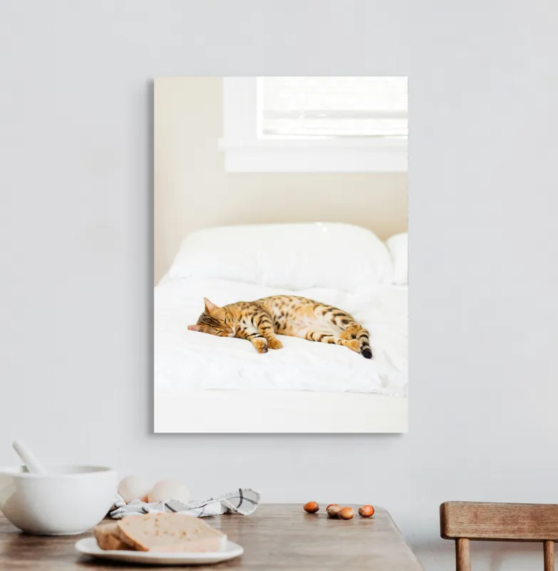 Tablou Canvas, "Pisica bengaleză dormitând pe pat alb", Relaxare, Pisică, Pat, Confort, Odihnă, Lumină, Somn, Leneveală, 50 x 70 cm – poza 3