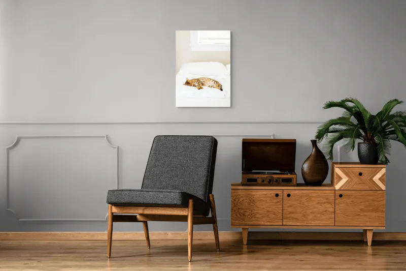 Tablou Canvas, "Pisica bengaleză dormitând pe pat alb", Relaxare, Pisică, Pat, Confort, Odihnă, Lumină, Somn, Leneveală, 50 x 70 cm – poza 8