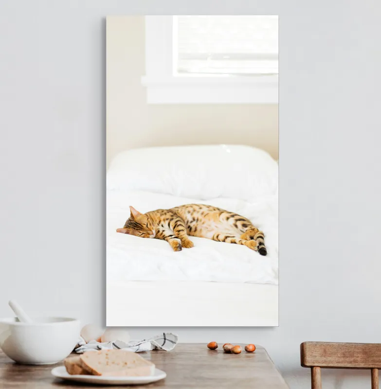 Tablou Canvas, "Pisica bengaleză dormitând pe pat alb", Relaxare, Pisică, Pat, Confort, Odihnă, Lumină, Somn, Leneveală, 50 x 90 cm – poza 3