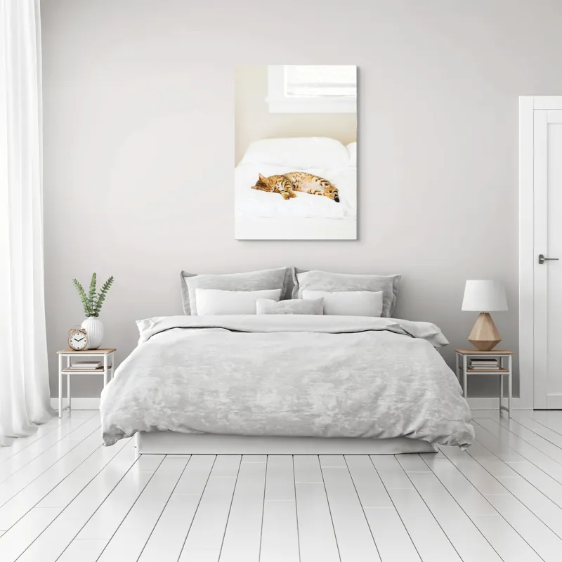 Tablou Canvas, "Pisica bengaleză dormitând pe pat alb", Relaxare, Pisică, Pat, Confort, Odihnă, Lumină, Somn, Leneveală, 70 x 100 cm – poza 3