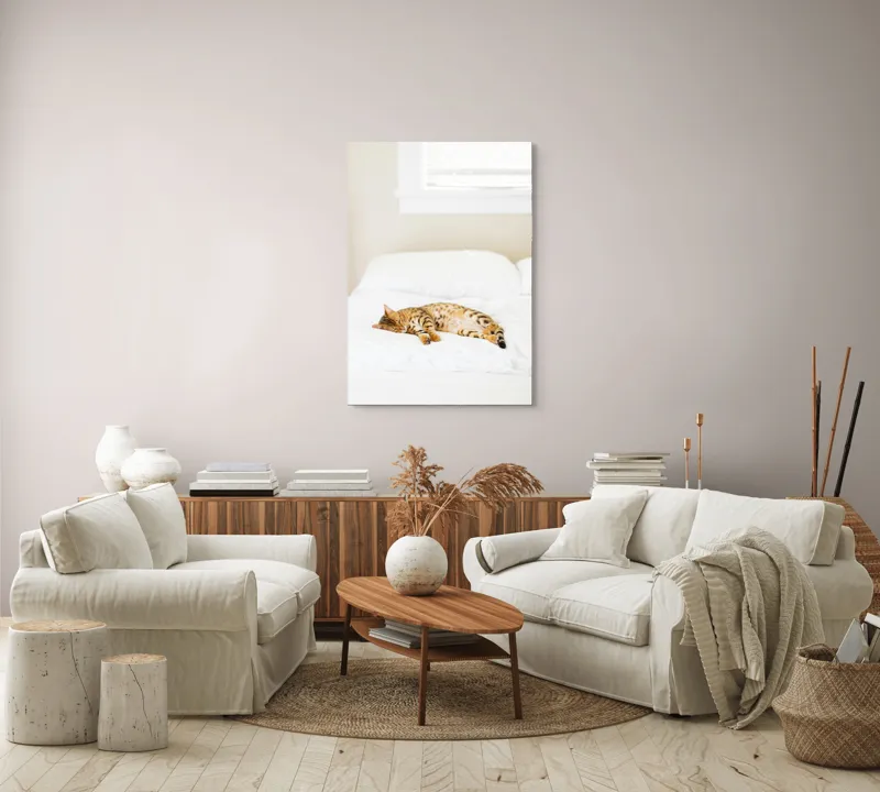 Tablou Canvas, "Pisica bengaleză dormitând pe pat alb", Relaxare, Pisică, Pat, Confort, Odihnă, Lumină, Somn, Leneveală, 70 x 100 cm – poza 4