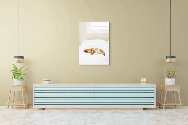 Tablou Canvas, "Pisica bengaleză dormitând pe pat alb", Relaxare, Pisică, Pat, Confort, Odihnă, Lumină, Somn, Leneveală, 70 x 100 cm – poza 5