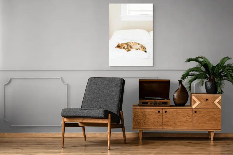 Tablou Canvas, "Pisica bengaleză dormitând pe pat alb", Relaxare, Pisică, Pat, Confort, Odihnă, Lumină, Somn, Leneveală, 70 x 100 cm – poza 6