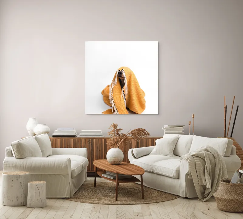 Tablou Canvas, "Câine ascuns sub pătura portocalie", Câine, Portocaliu, Pătură, Alb, Franjuri, Ascuns, Drăgălaș, Simpatic, Privire, Coperta, 100 x 100 cm – poza 3