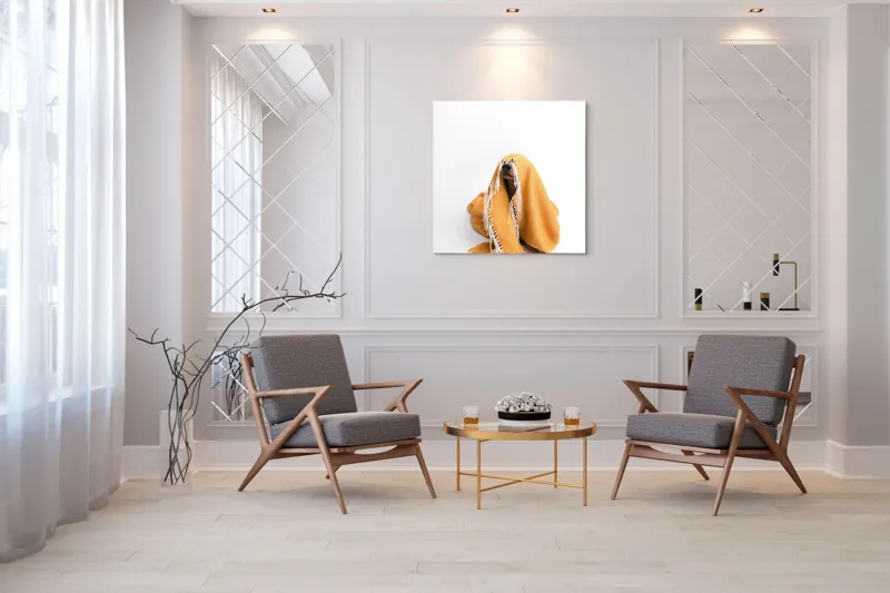 Tablou Canvas, "Câine ascuns sub pătura portocalie", Câine, Portocaliu, Pătură, Alb, Franjuri, Ascuns, Drăgălaș, Simpatic, Privire, Coperta, 100 x 100 cm – poza 7