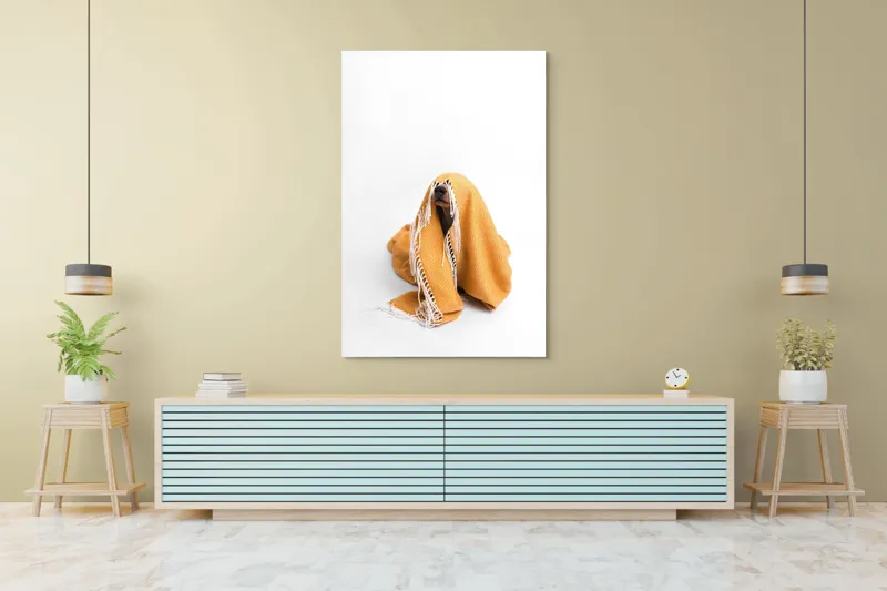 Tablou Canvas, "Câine ascuns sub pătura portocalie", Câine, Portocaliu, Pătură, Alb, Franjuri, Ascuns, Drăgălaș, Simpatic, Privire, Coperta, 100 x 150 cm – poza 4