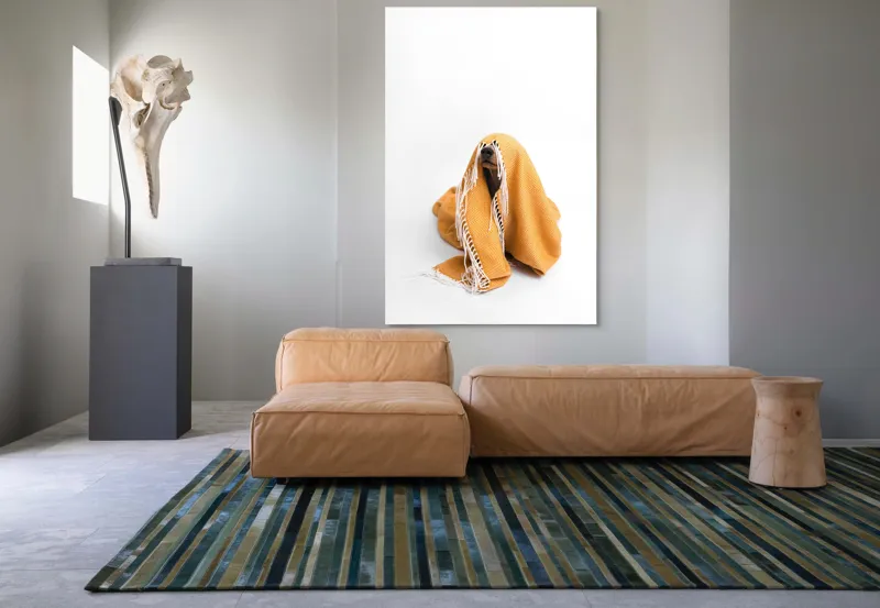 Tablou Canvas, "Câine ascuns sub pătura portocalie", Câine, Portocaliu, Pătură, Alb, Franjuri, Ascuns, Drăgălaș, Simpatic, Privire, Coperta, 100 x 150 cm – poza 7