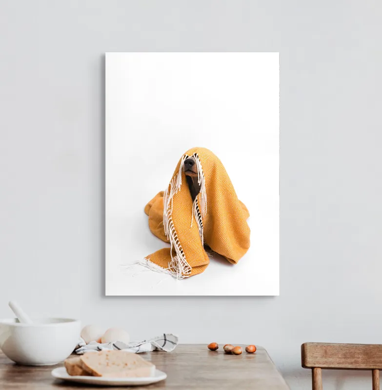 Tablou Canvas, "Câine ascuns sub pătura portocalie", Câine, Portocaliu, Pătură, Alb, Franjuri, Ascuns, Drăgălaș, Simpatic, Privire, Coperta, 50 x 70 cm – poza 3