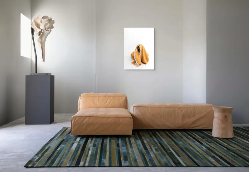 Tablou Canvas, "Câine ascuns sub pătura portocalie", Câine, Portocaliu, Pătură, Alb, Franjuri, Ascuns, Drăgălaș, Simpatic, Privire, Coperta, 50 x 70 cm – poza 7