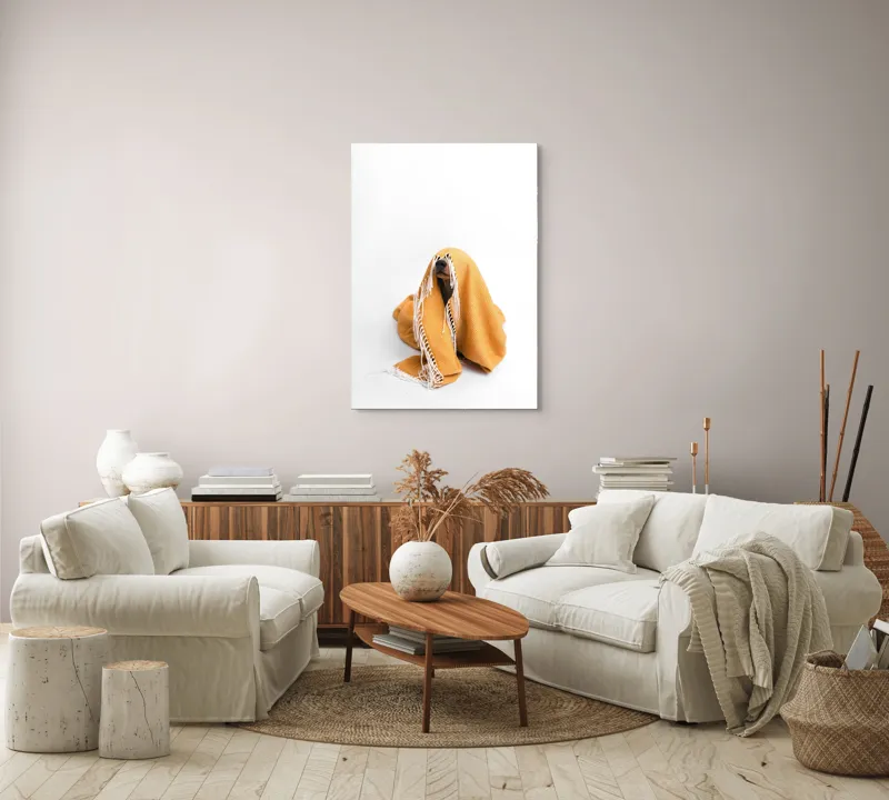 Tablou Canvas, "Câine ascuns sub pătura portocalie", Câine, Portocaliu, Pătură, Alb, Franjuri, Ascuns, Drăgălaș, Simpatic, Privire, Coperta, 70 x 100 cm – poza 4