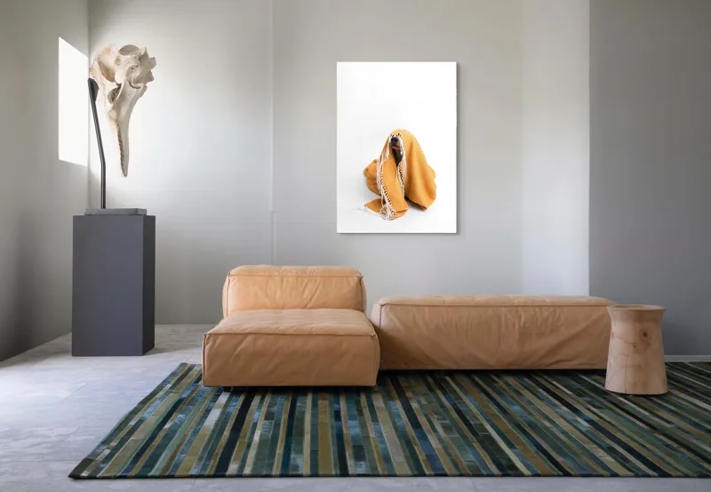 Tablou Canvas, "Câine ascuns sub pătura portocalie", Câine, Portocaliu, Pătură, Alb, Franjuri, Ascuns, Drăgălaș, Simpatic, Privire, Coperta, 70 x 100 cm – poza 7