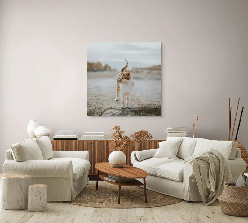 Tablou Canvas, "Pisica în căutare de aventuri", Pisică, Peisaj, Cer, Ruine, Blană, Cozi, Picioare, Încântare, Aer Liber, Privire, 100 x 100 cm – poza 3