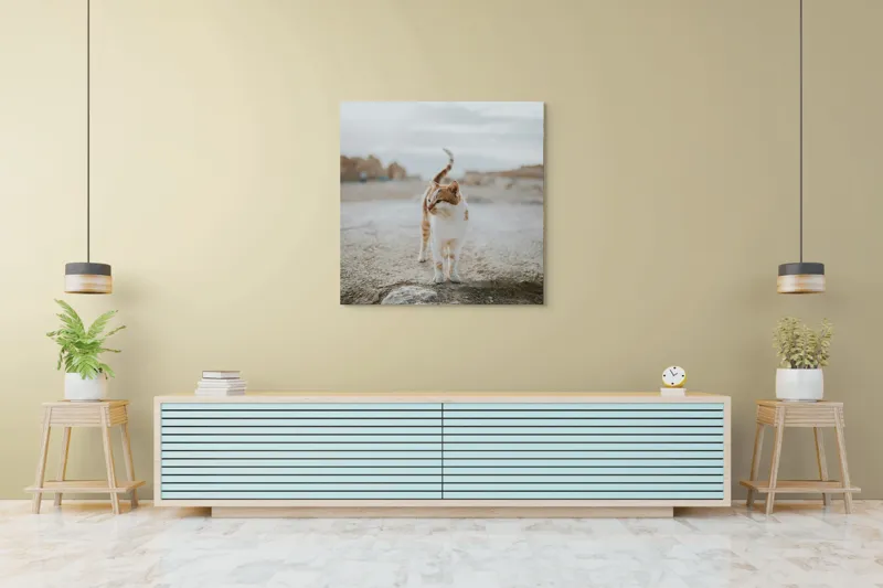 Tablou Canvas, "Pisica în căutare de aventuri", Pisică, Peisaj, Cer, Ruine, Blană, Cozi, Picioare, Încântare, Aer Liber, Privire, 100 x 100 cm – poza 5