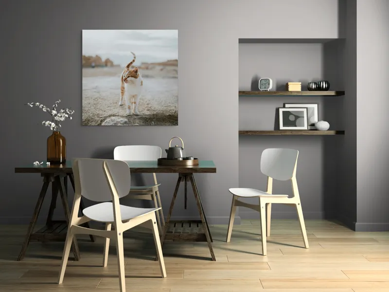 Tablou Canvas, "Pisica în căutare de aventuri", Pisică, Peisaj, Cer, Ruine, Blană, Cozi, Picioare, Încântare, Aer Liber, Privire, 100 x 100 cm – poza 6