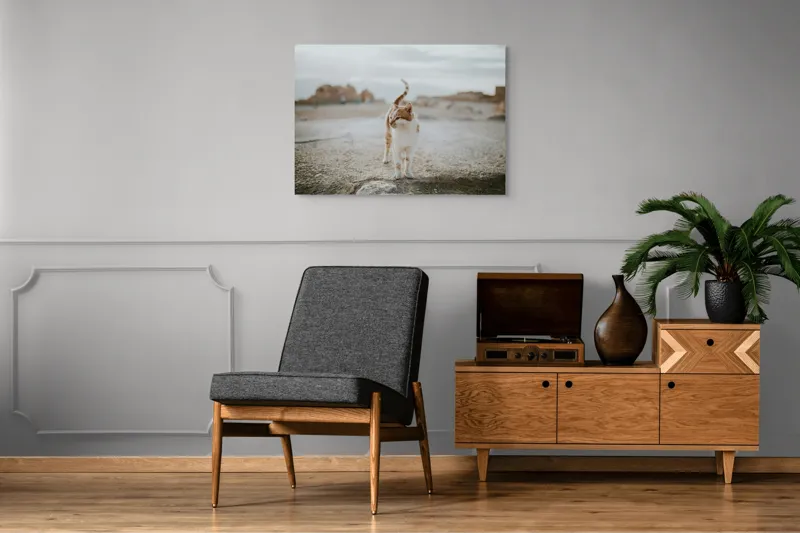 Tablou Canvas, "Pisica în căutare de aventuri", Pisică, Peisaj, Cer, Ruine, Blană, Cozi, Picioare, Încântare, Aer Liber, Privire, 100 x 70 cm – poza 8