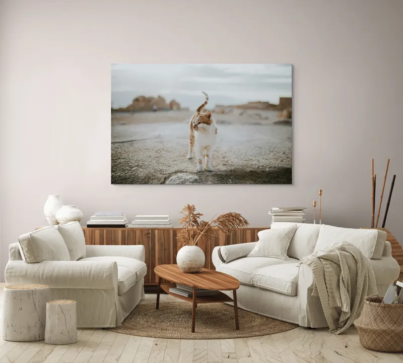 Tablou Canvas, "Pisica în căutare de aventuri", Pisică, Peisaj, Cer, Ruine, Blană, Cozi, Picioare, Încântare, Aer Liber, Privire, 150 x 100 cm – poza 3