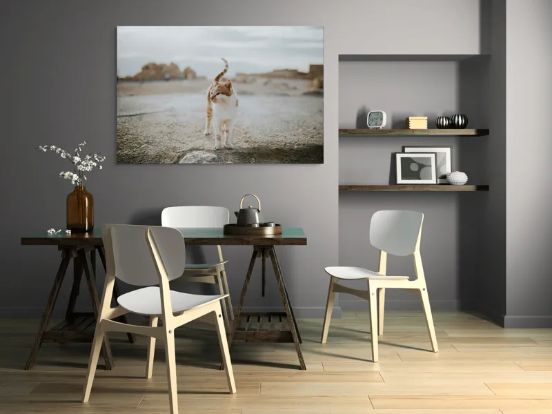 Tablou Canvas, "Pisica în căutare de aventuri", Pisică, Peisaj, Cer, Ruine, Blană, Cozi, Picioare, Încântare, Aer Liber, Privire, 150 x 100 cm – poza 5