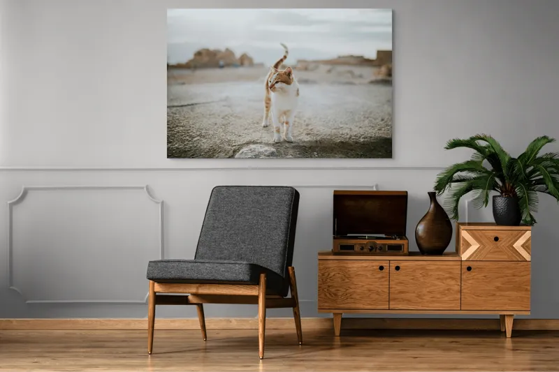 Tablou Canvas, "Pisica în căutare de aventuri", Pisică, Peisaj, Cer, Ruine, Blană, Cozi, Picioare, Încântare, Aer Liber, Privire, 150 x 100 cm – poza 8