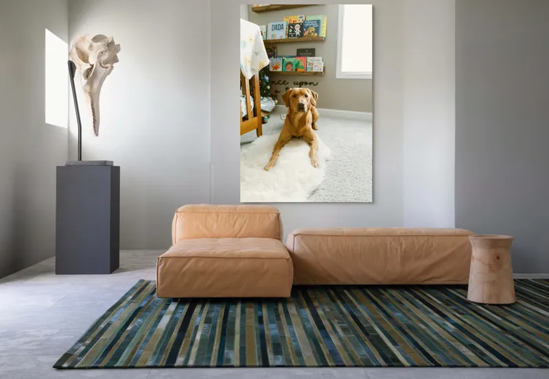 Tablou Canvas, "Câinele ascultător într-o cameră de poveste", Câine, Perete, Cărți, Rafturi, Covor, Geam, Cameră, Jucării, Postere, Mobilier, 100 x 150 cm – poza 7