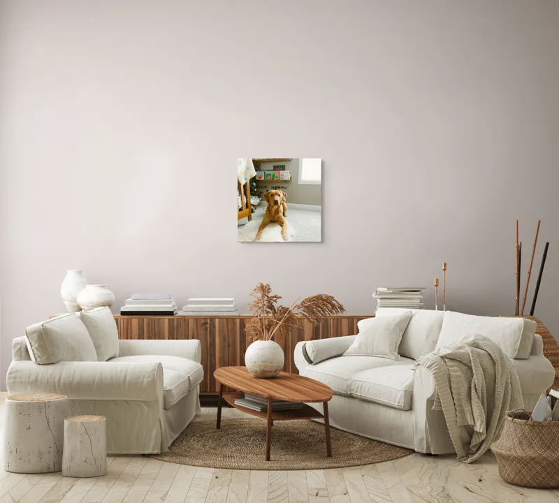 Tablou Canvas, "Câinele ascultător într-o cameră de poveste", Câine, Perete, Cărți, Rafturi, Covor, Geam, Cameră, Jucării, Postere, Mobilier, 50 x 50 cm – poza 7