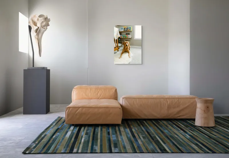 Tablou Canvas, "Câinele ascultător într-o cameră de poveste", Câine, Perete, Cărți, Rafturi, Covor, Geam, Cameră, Jucării, Postere, Mobilier, 50 x 70 cm – poza 7