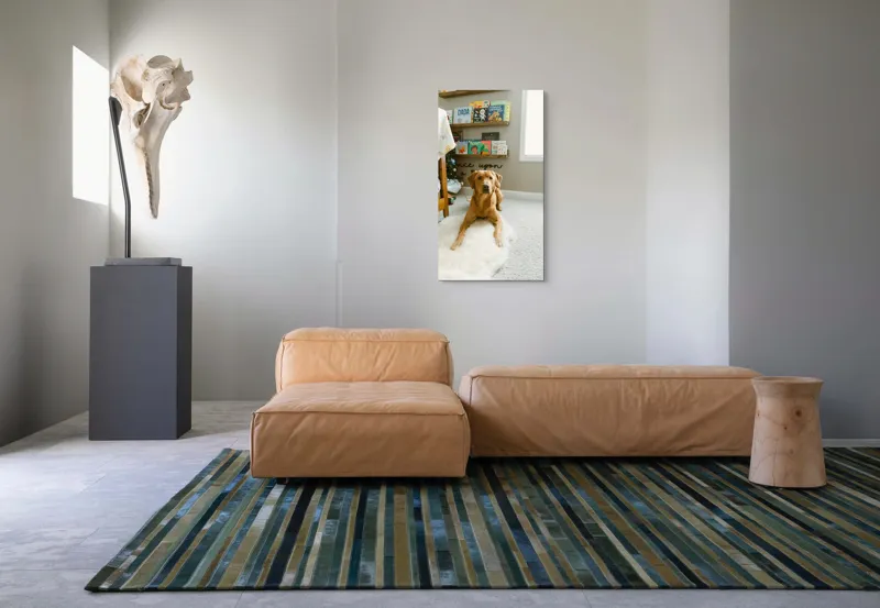 Tablou Canvas, "Câinele ascultător într-o cameră de poveste", Câine, Perete, Cărți, Rafturi, Covor, Geam, Cameră, Jucării, Postere, Mobilier, 50 x 90 cm – poza 5