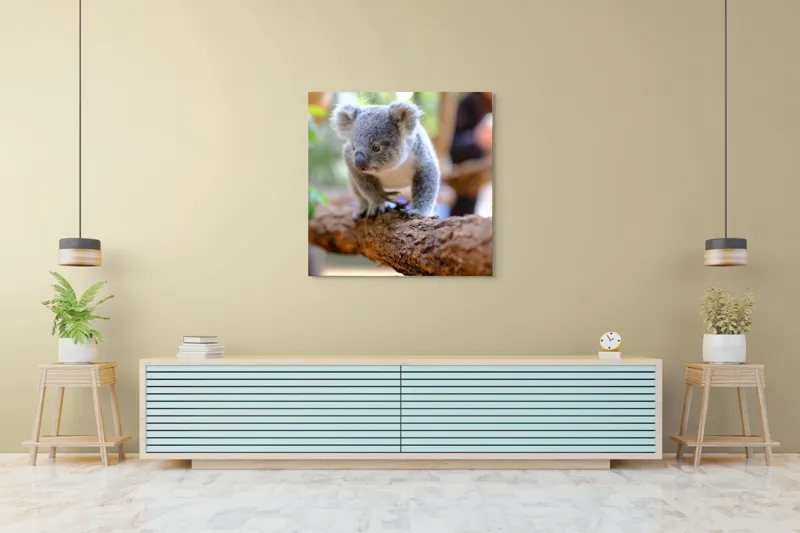 Tablou Canvas, "Puiul de koala pe creangă sigură", Koala, Ramură, Blană, Frunze, Natură, Urechi, Lemn, Drăgălaș, Explorare, Mic., 100 x 100 cm – poza 5