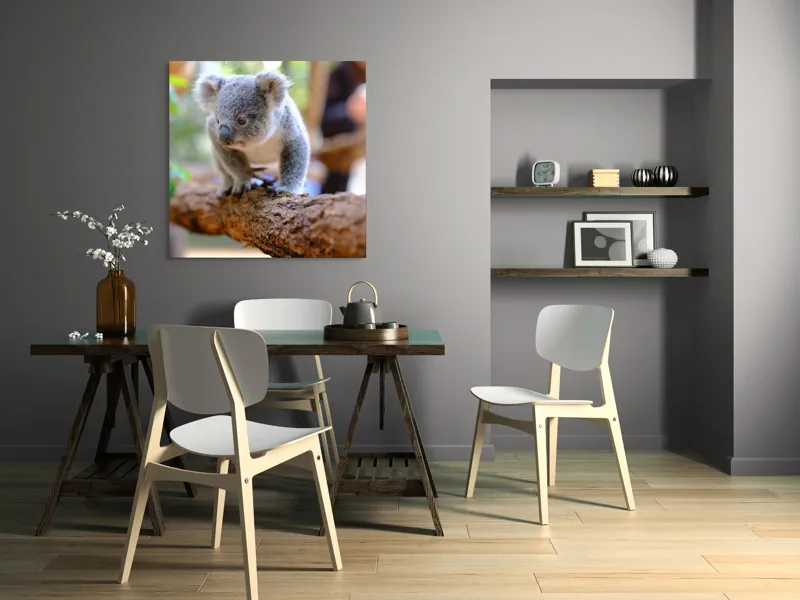 Tablou Canvas, "Puiul de koala pe creangă sigură", Koala, Ramură, Blană, Frunze, Natură, Urechi, Lemn, Drăgălaș, Explorare, Mic., 100 x 100 cm – poza 6