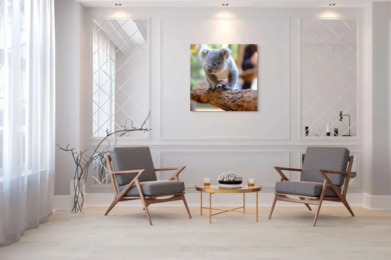 Tablou Canvas, "Puiul de koala pe creangă sigură", Koala, Ramură, Blană, Frunze, Natură, Urechi, Lemn, Drăgălaș, Explorare, Mic., 100 x 100 cm – poza 7