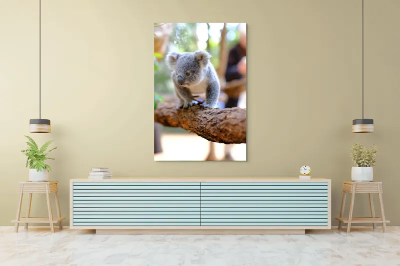 Tablou Canvas, "Puiul de koala pe creangă sigură", Koala, Ramură, Blană, Frunze, Natură, Urechi, Lemn, Drăgălaș, Explorare, Mic., 100 x 150 cm – poza 4