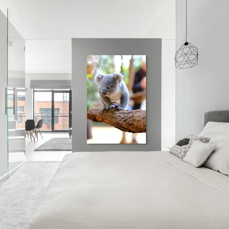 Tablou Canvas, "Puiul de koala pe creangă sigură", Koala, Ramură, Blană, Frunze, Natură, Urechi, Lemn, Drăgălaș, Explorare, Mic., 100 x 150 cm – poza 5