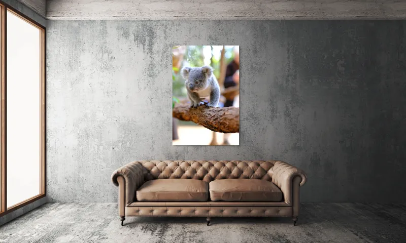 Tablou Canvas, "Puiul de koala pe creangă sigură", Koala, Ramură, Blană, Frunze, Natură, Urechi, Lemn, Drăgălaș, Explorare, Mic., 100 x 150 cm – poza 6