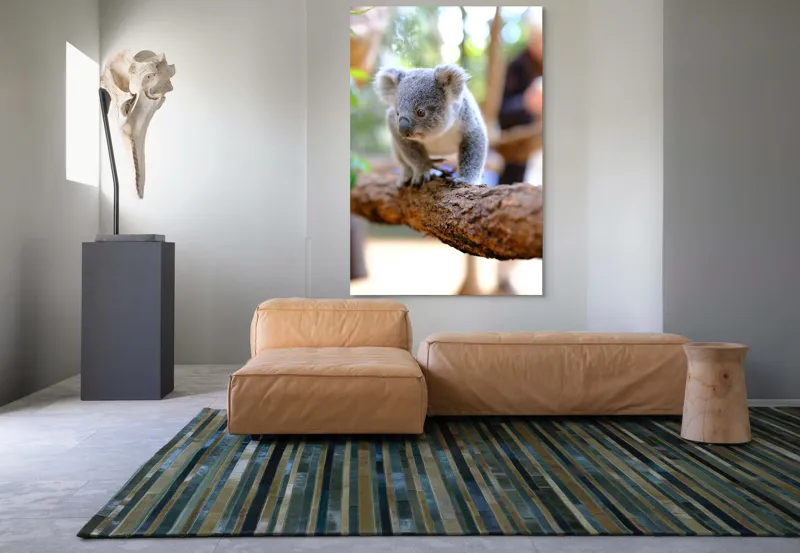 Tablou Canvas, "Puiul de koala pe creangă sigură", Koala, Ramură, Blană, Frunze, Natură, Urechi, Lemn, Drăgălaș, Explorare, Mic., 100 x 150 cm – poza 7