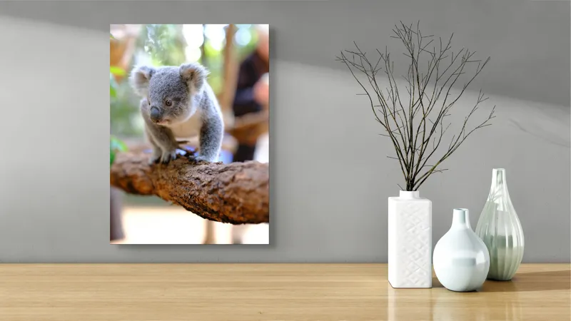 Tablou Canvas, "Puiul de koala pe creangă sigură", Koala, Ramură, Blană, Frunze, Natură, Urechi, Lemn, Drăgălaș, Explorare, Mic., 39 x 54 cm – poza 4