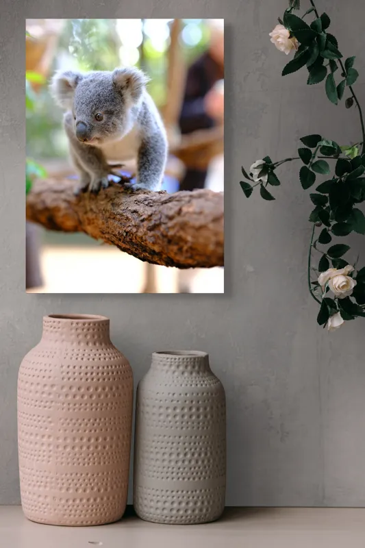 Tablou Canvas, "Puiul de koala pe creangă sigură", Koala, Ramură, Blană, Frunze, Natură, Urechi, Lemn, Drăgălaș, Explorare, Mic., 39 x 54 cm – poza 6