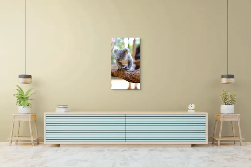 Tablou Canvas, "Puiul de koala pe creangă sigură", Koala, Ramură, Blană, Frunze, Natură, Urechi, Lemn, Drăgălaș, Explorare, Mic., 50 x 90 cm – poza 6