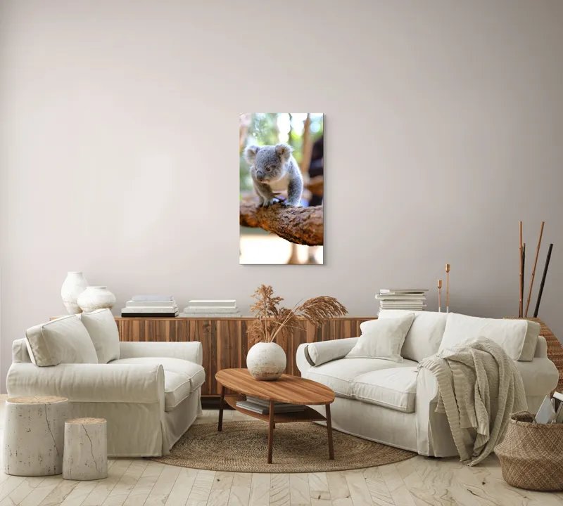 Tablou Canvas, "Puiul de koala pe creangă sigură", Koala, Ramură, Blană, Frunze, Natură, Urechi, Lemn, Drăgălaș, Explorare, Mic., 50 x 90 cm – poza 7