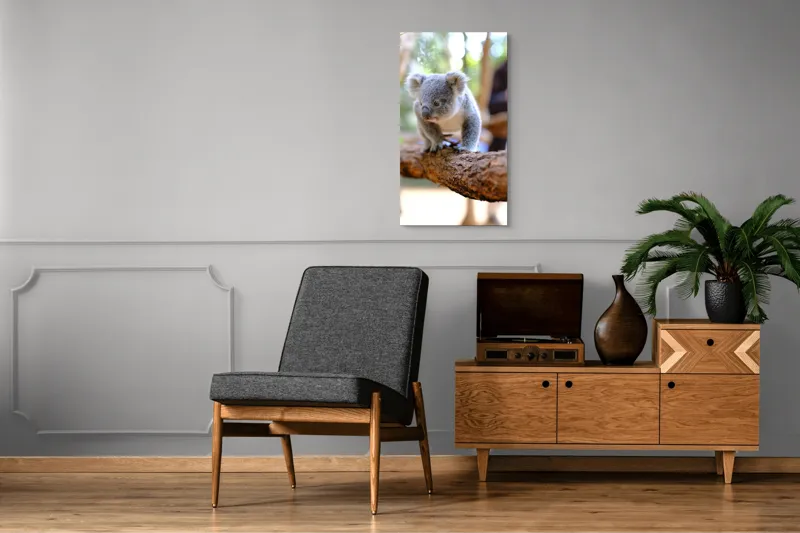 Tablou Canvas, "Puiul de koala pe creangă sigură", Koala, Ramură, Blană, Frunze, Natură, Urechi, Lemn, Drăgălaș, Explorare, Mic., 50 x 90 cm – poza 8