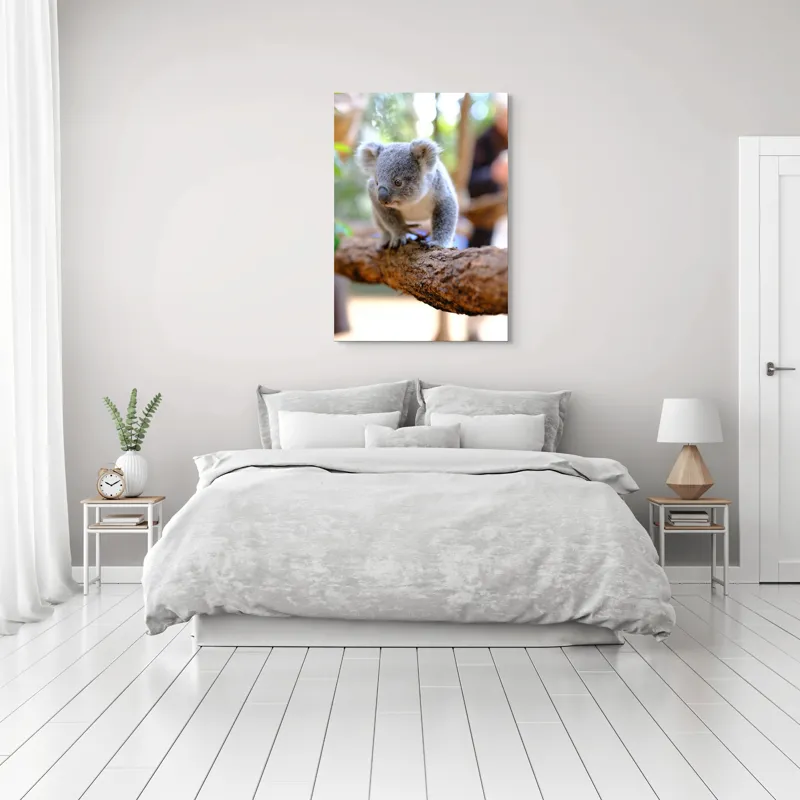 Tablou Canvas, "Puiul de koala pe creangă sigură", Koala, Ramură, Blană, Frunze, Natură, Urechi, Lemn, Drăgălaș, Explorare, Mic., 70 x 100 cm – poza 3