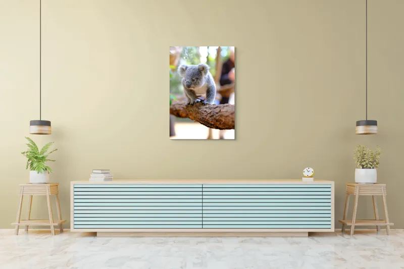 Tablou Canvas, "Puiul de koala pe creangă sigură", Koala, Ramură, Blană, Frunze, Natură, Urechi, Lemn, Drăgălaș, Explorare, Mic., 70 x 100 cm – poza 5