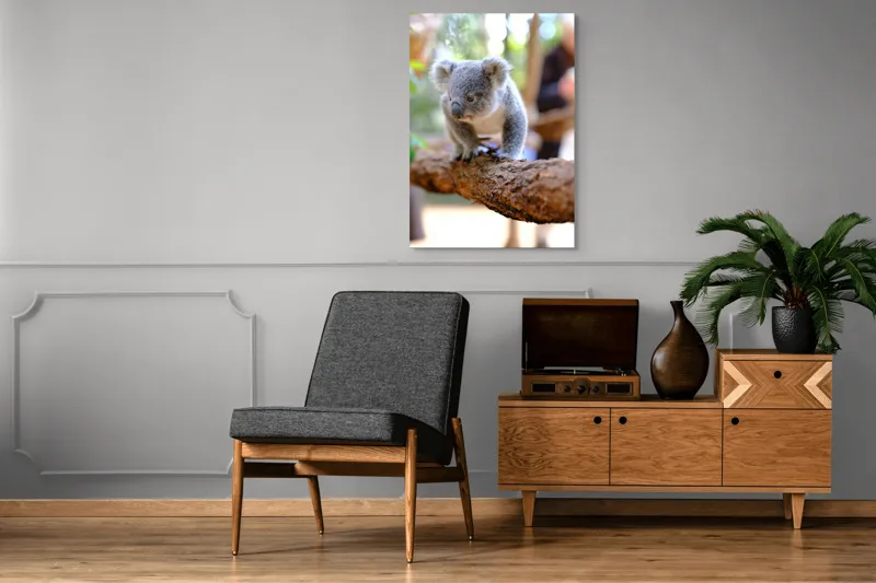 Tablou Canvas, "Puiul de koala pe creangă sigură", Koala, Ramură, Blană, Frunze, Natură, Urechi, Lemn, Drăgălaș, Explorare, Mic., 70 x 100 cm – poza 6