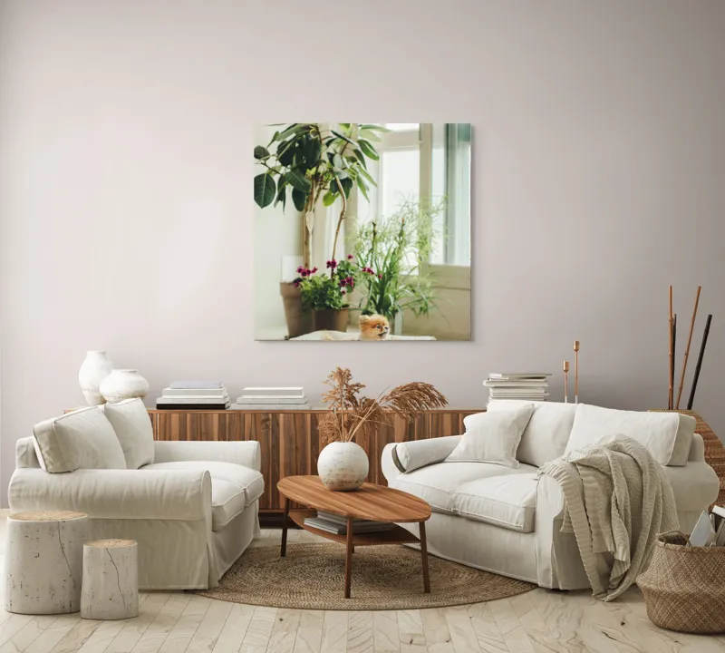 Tablou Canvas, "Cățel fericit în culcușul lui confortabil", Plante, Fereastră, Cățeluș, Relaxare, Lumină, Ghiveci, Interior, Verdeață., 100 x 100 cm – poza 3