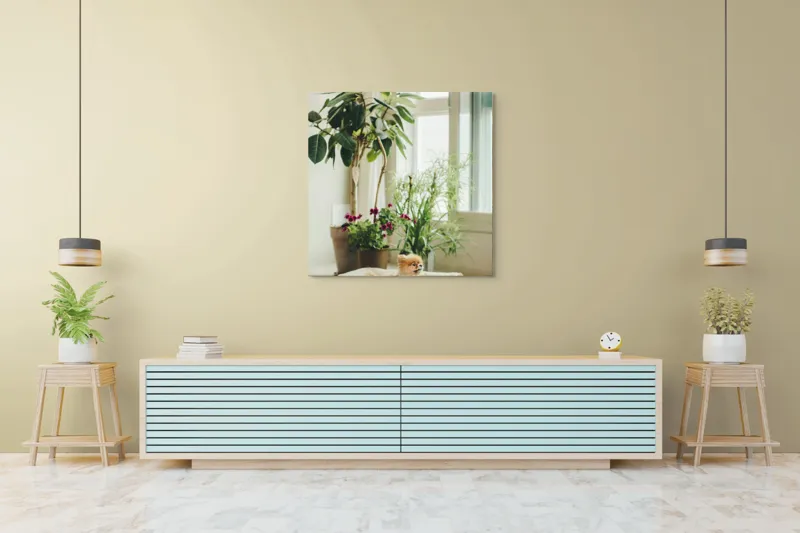 Tablou Canvas, "Cățel fericit în culcușul lui confortabil", Plante, Fereastră, Cățeluș, Relaxare, Lumină, Ghiveci, Interior, Verdeață., 100 x 100 cm – poza 5