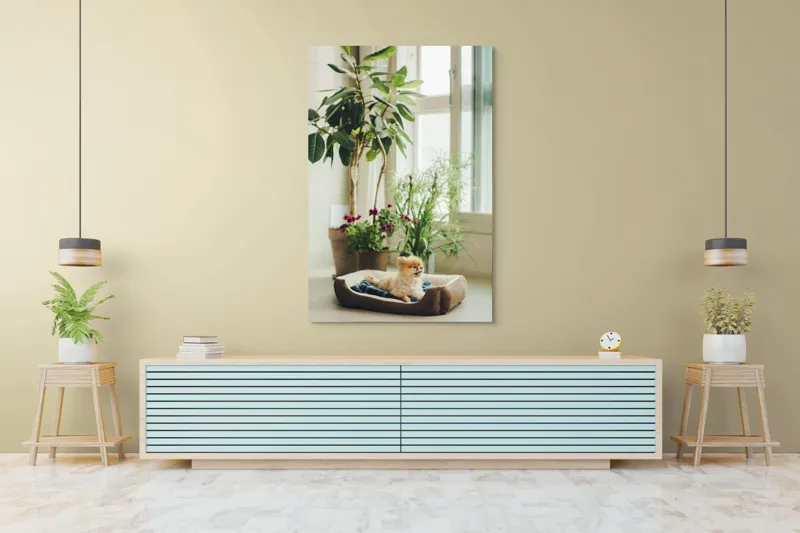 Tablou Canvas, "Cățel fericit în culcușul lui confortabil", Plante, Fereastră, Cățeluș, Relaxare, Lumină, Ghiveci, Interior, Verdeață., 100 x 150 cm – poza 4