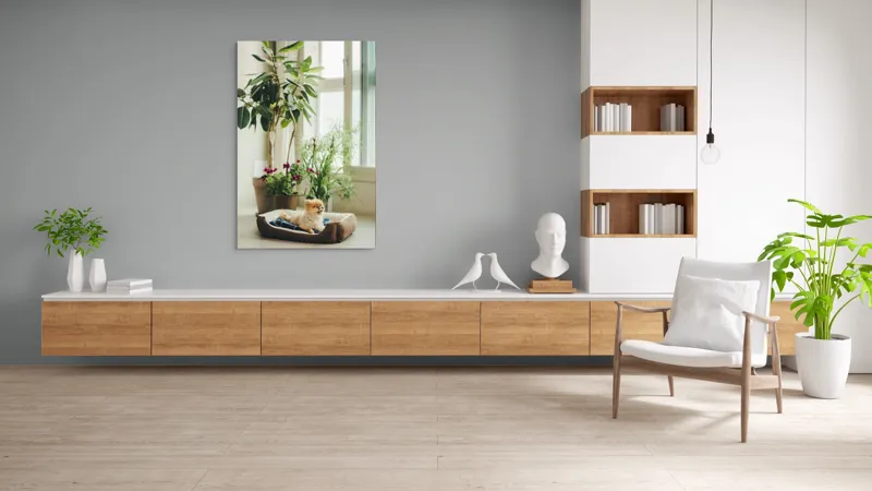 Tablou Canvas, "Cățel fericit în culcușul lui confortabil", Plante, Fereastră, Cățeluș, Relaxare, Lumină, Ghiveci, Interior, Verdeață., 100 x 150 cm – poza 8