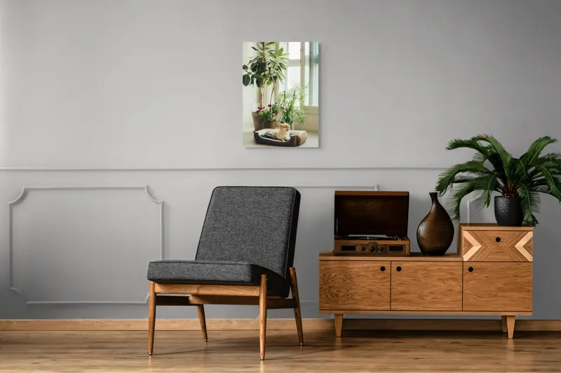Tablou Canvas, "Cățel fericit în culcușul lui confortabil", Plante, Fereastră, Cățeluș, Relaxare, Lumină, Ghiveci, Interior, Verdeață., 50 x 70 cm – poza 8