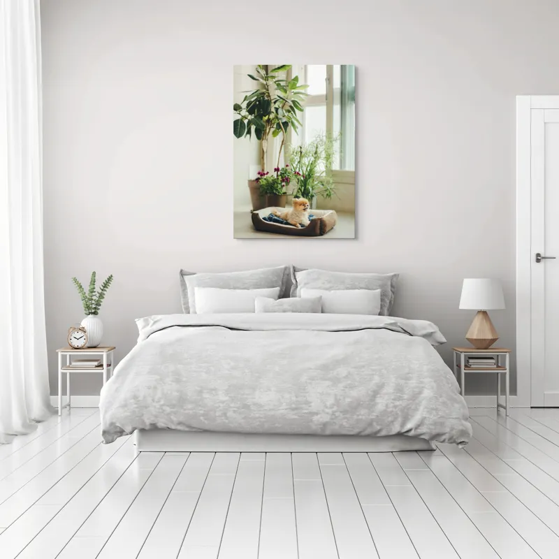 Tablou Canvas, "Cățel fericit în culcușul lui confortabil", Plante, Fereastră, Cățeluș, Relaxare, Lumină, Ghiveci, Interior, Verdeață., 70 x 100 cm – poza 3