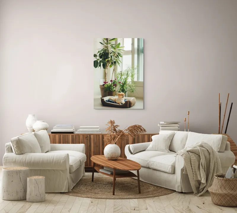 Tablou Canvas, "Cățel fericit în culcușul lui confortabil", Plante, Fereastră, Cățeluș, Relaxare, Lumină, Ghiveci, Interior, Verdeață., 70 x 100 cm – poza 4
