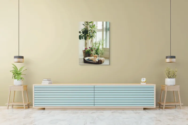 Tablou Canvas, "Cățel fericit în culcușul lui confortabil", Plante, Fereastră, Cățeluș, Relaxare, Lumină, Ghiveci, Interior, Verdeață., 70 x 100 cm – poza 5